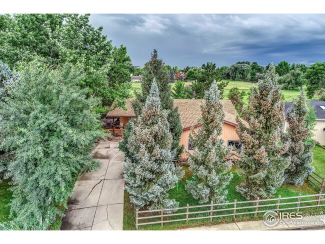 7740 Manila Place, Niwot, CO 80503 - photo 4