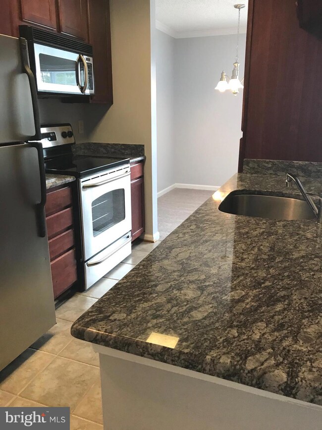 15512 Horseshoe Ln unit 512, Woodbridge, VA 22191 - photo 4