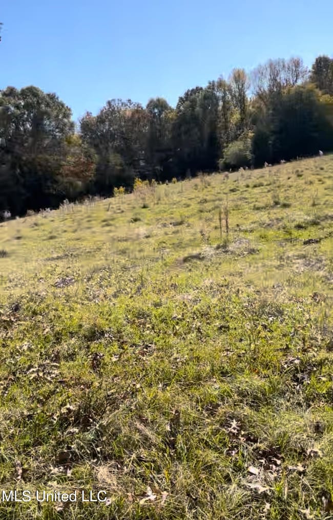 1105 Chapman Rd, Utica, MS 39175 - photo 2