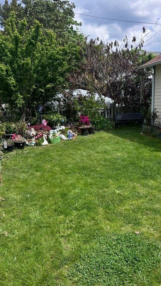 front yard 2