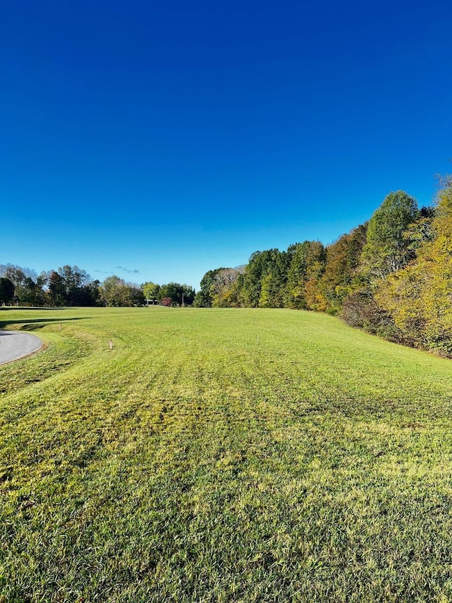 Lot 2 Goff Ridge Rd, Baxter, TN 38544 - photo 6