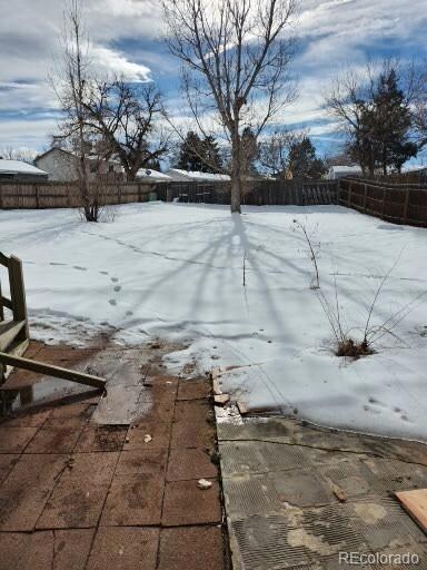 huge rear yard