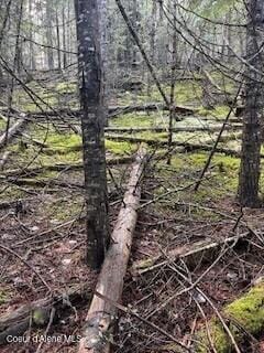 Granite Creek Lot 8 #2