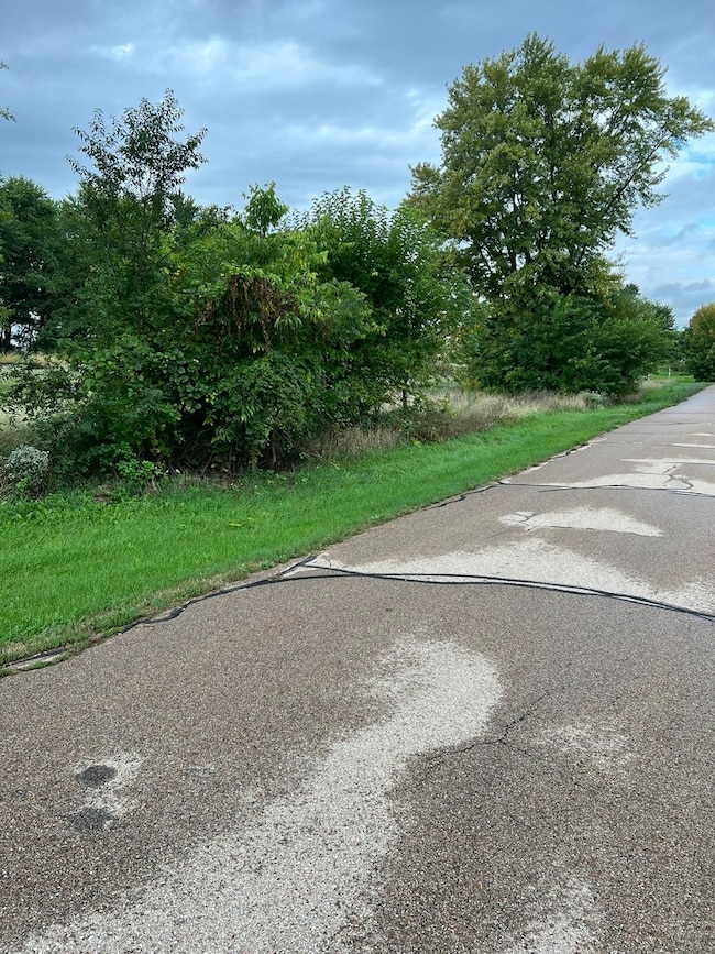 0 West St, Franklin Township, IL 60146 - photo 3