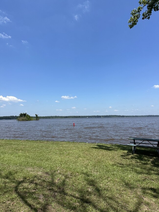 Views of Lake Livingston