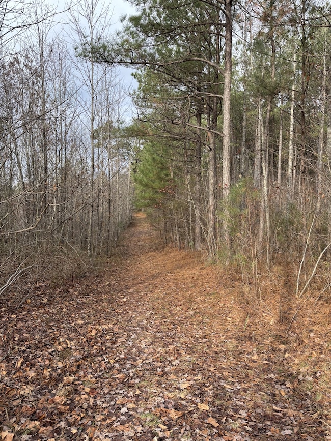 0 Browns Hollow Rd unit RTC3054618, Tracy City, TN 37387 - photo 6