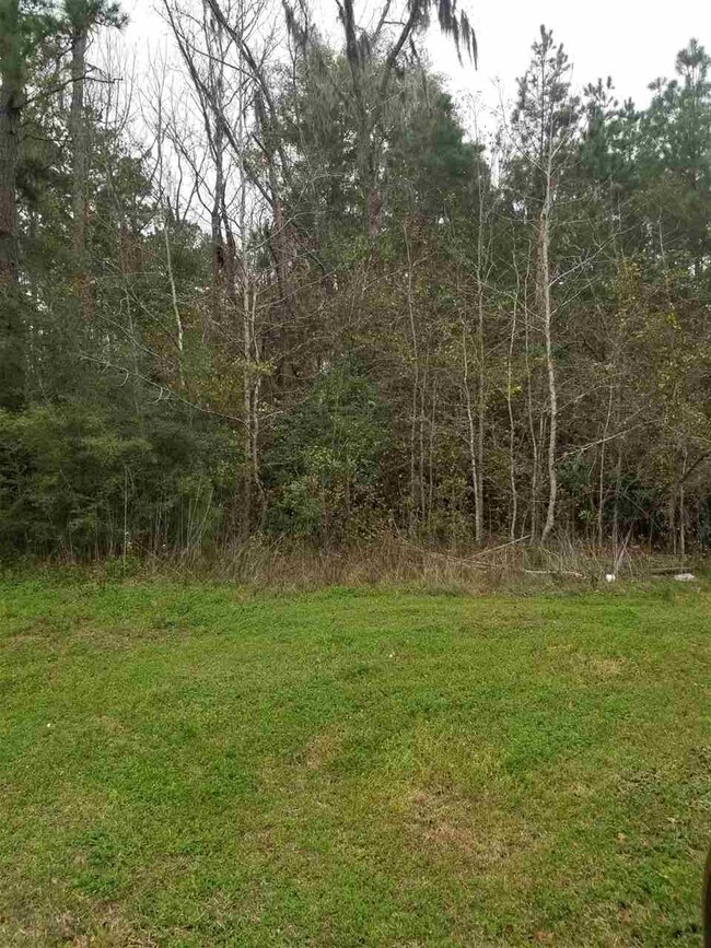 W Mahan Dr, Miccosukee, FL 32309 - photo 3