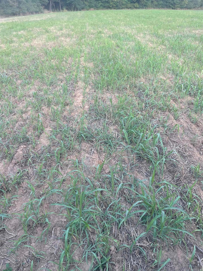 000 Crypress Lake, Beebe, AR 72020 - photo 3