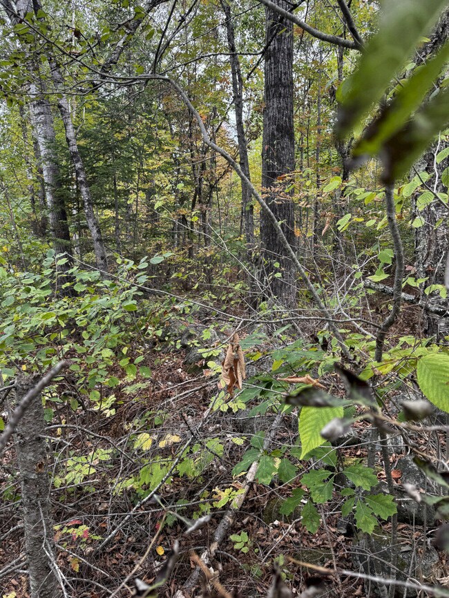 P/O M11 L45a Pease Hill Rd, Anson, ME 04911 - photo 7