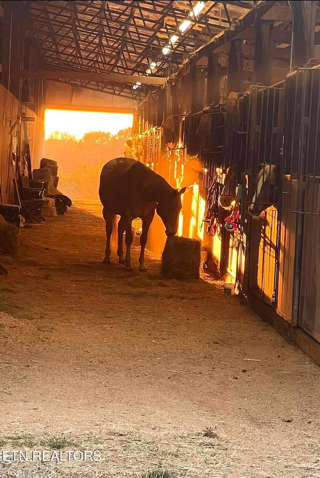 Screenshot_20250319_141136_Facebook (002