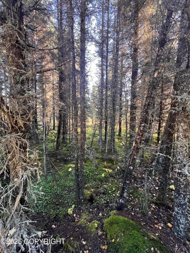 L8 Shegota Loop, Happy Valley, AK 99639 - photo 2