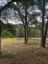 21441 Roberts Cemetery Rd, Hockley, TX 77377 - photo 5