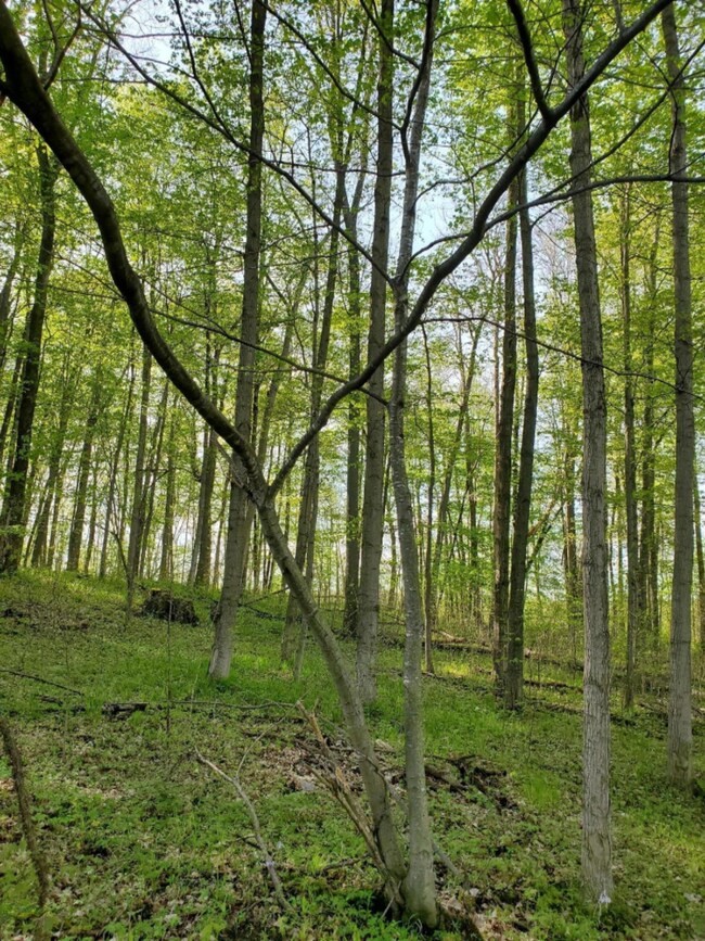 Lot 13 Hjermstad Dr, Ionia, MI 48846 - photo 3