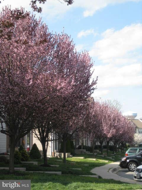 525 Kirkcaldy Way, Abingdon, MD 21009 - photo 3