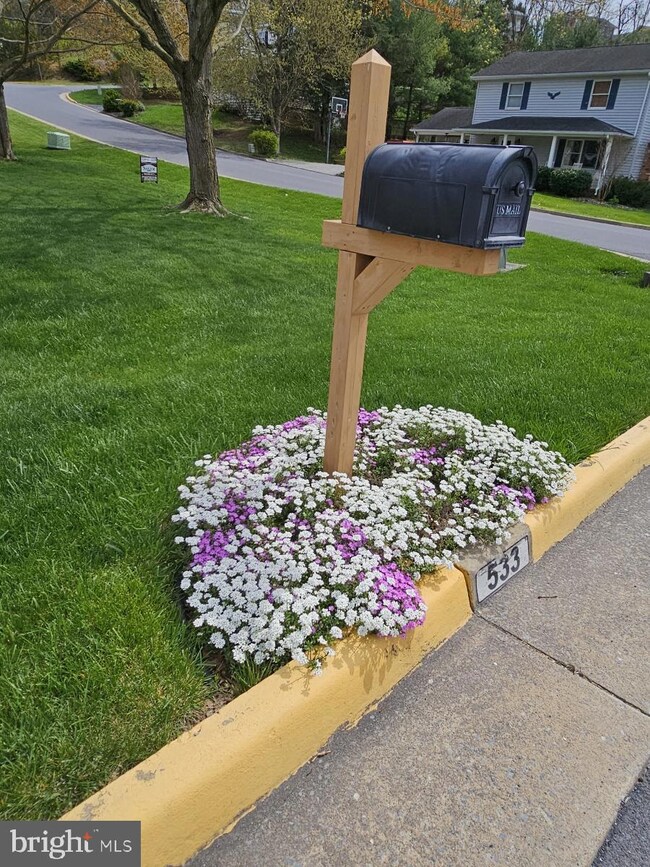 533 Virginia St, Strasburg, VA 22657 - photo 2