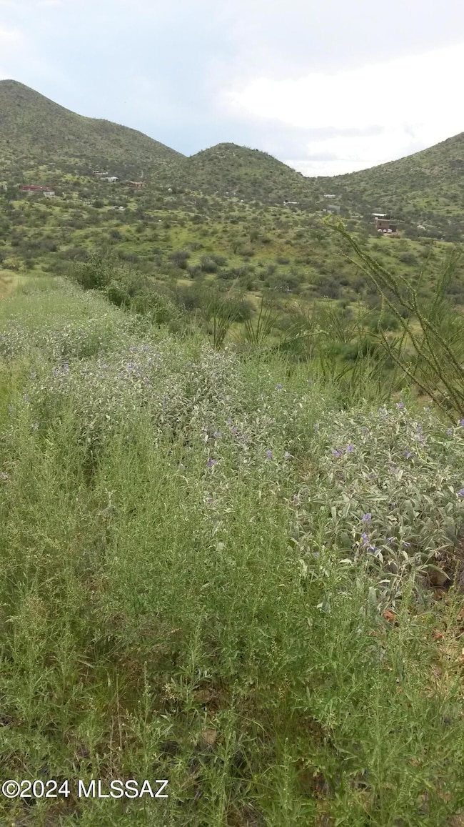 0 Goodenough Trail unit Lot 1 22524989, Vail, AZ 85641 - photo 6