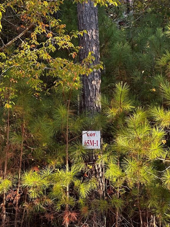 65 Green Terrace, Newnan, GA 30265 - photo 2