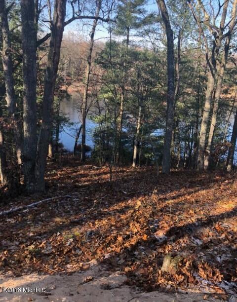 8205 N Perch Lake Dr, Bitely, MI 49309 - photo 6