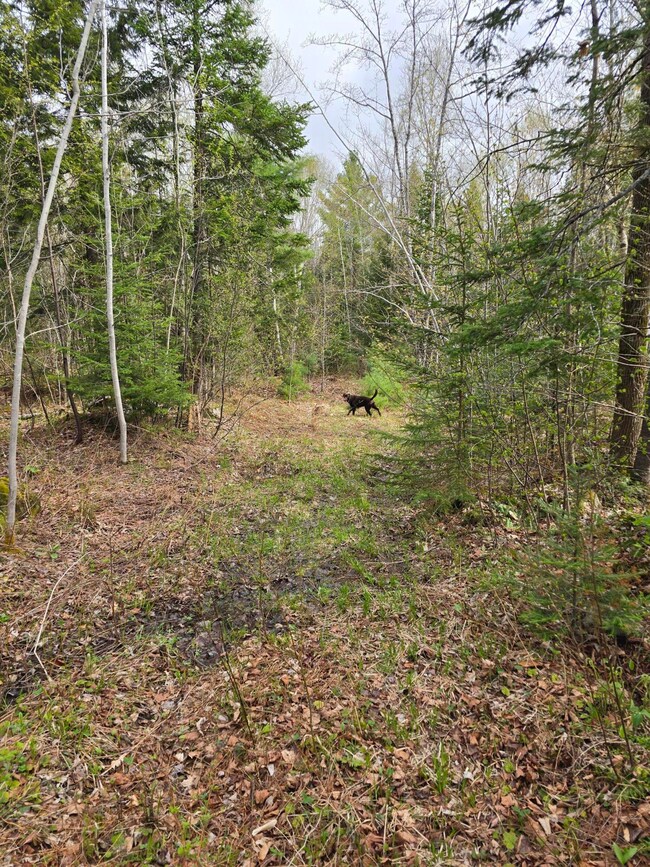 1623 B off Lyford Rd, Southeast Piscataquis, ME 04463 - photo 5