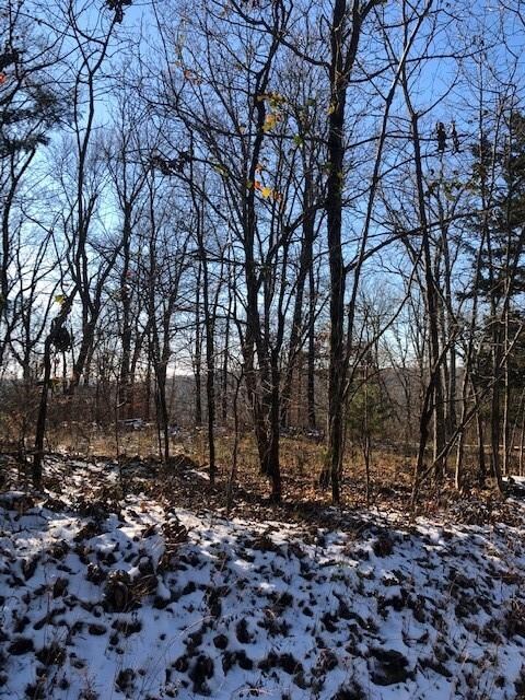 11763 Bunyard Rd, Winslow, AR 72959 - photo 3