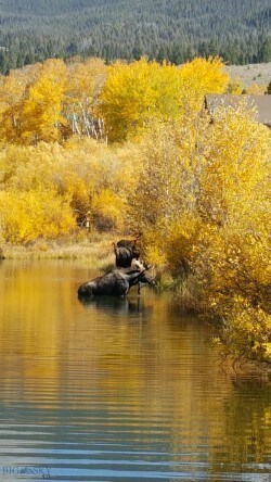 Fall at Torrey Mountain Subdivision