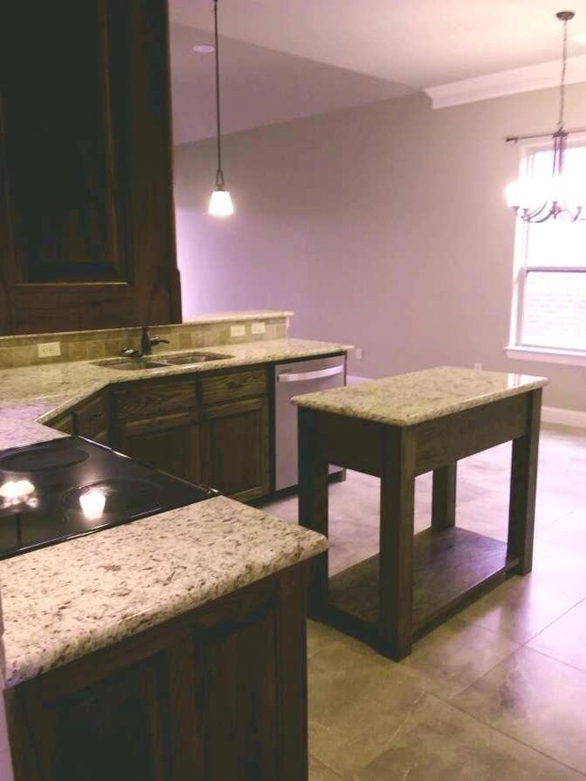 237 Jacinth Ln, Granbury, TX 76049 - photo 5