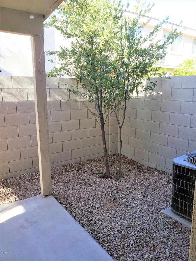 Private back yard