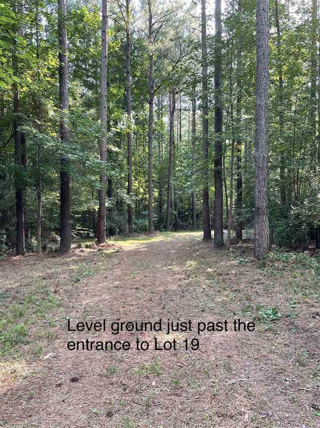Lot 19 Nassau Trail, Pittsboro, NC 27312 - photo 4