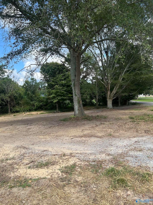 741 Haynes Rd NE, Arab, AL 35016 - photo 5