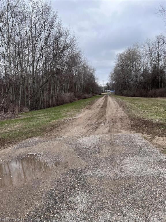 5239 N Coleman Rd, Coleman, MI 48618 - photo 2