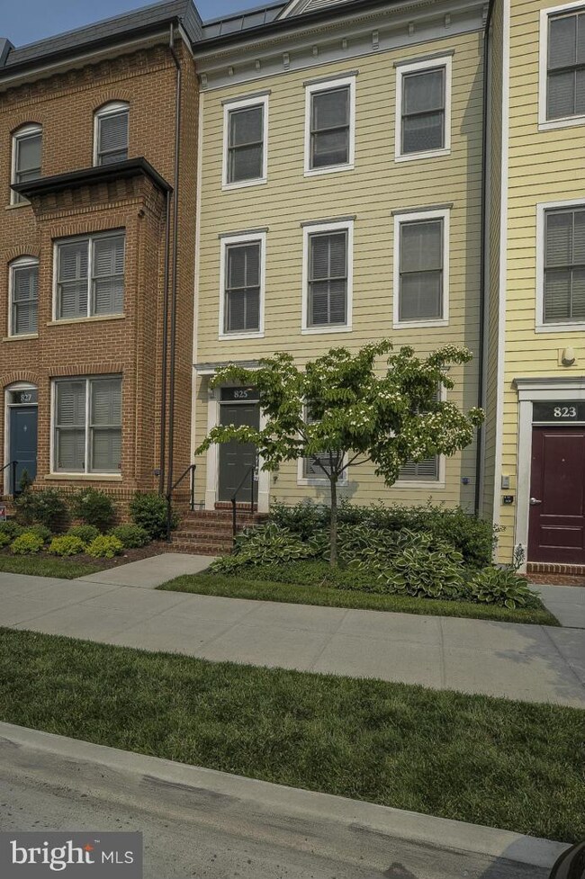 825 N Alfred St, Alexandria, VA 22314 - photo 3