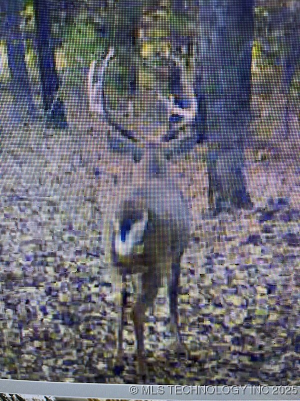 00000 W 181st St, Shamrock, OK 74068 - photo 4