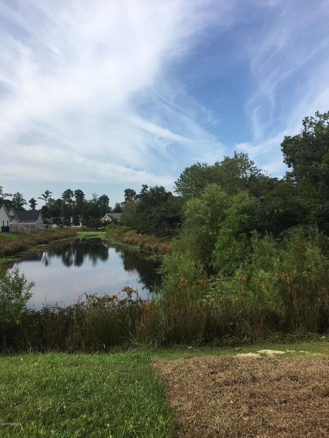 1207 Mill Creek Loop, Leland, NC 28451 - photo 2