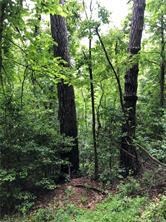 0 Sleepy Gap Rd unit 6 3461549, Arden, NC 28704 - photo 3