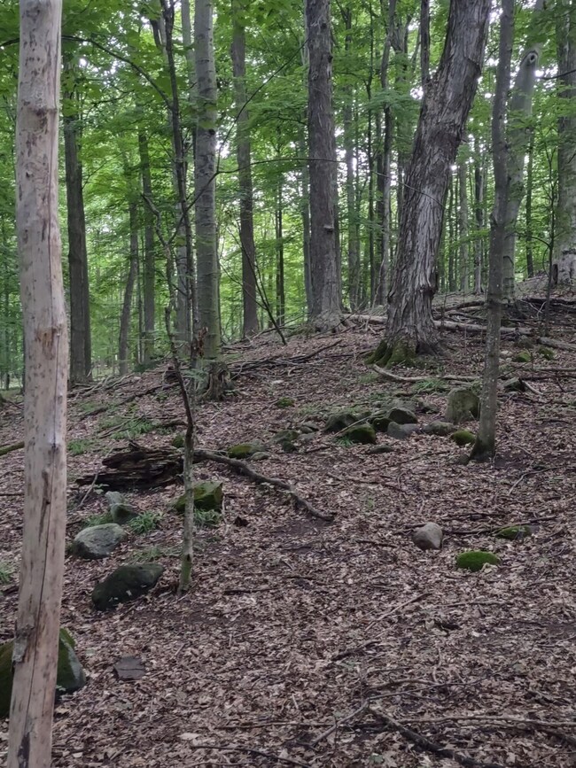 image000000 (6)
