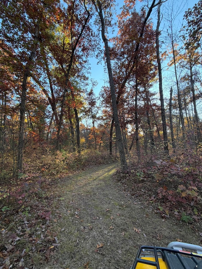 V/L Maple Hill Rd unit Parcel B, Howard City, MI 49329 - photo 3