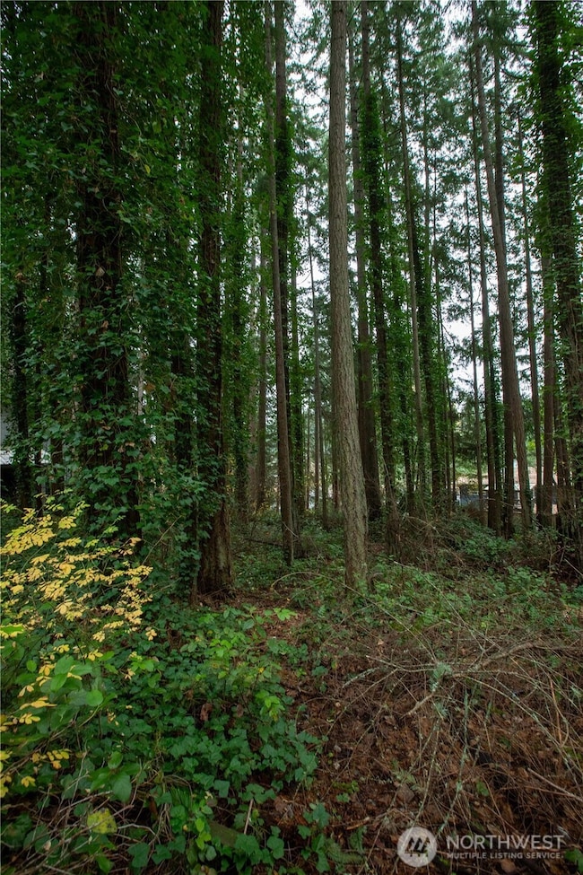 6493 20th Ave SE, Lacey, WA 98503 - photo 7