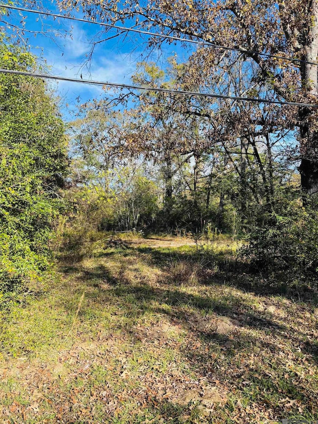 5657 Cheryl Lynn Dr, Baton Rouge, LA 70706 - photo 3