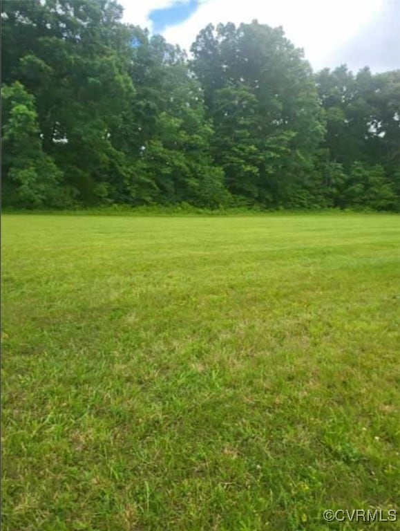 View of grassy yard