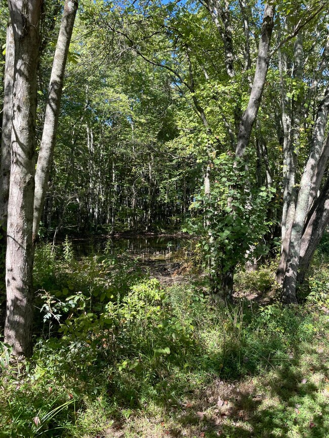 Tract 3 Cumberland Ridge Dr, Somerset, KY 42501 - photo 4