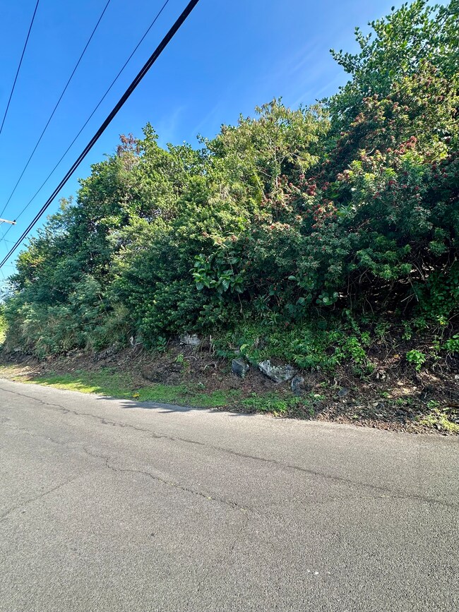 0 Kaohe Rd unit Lot 12, Captain Cook, HI 96704 - photo 3