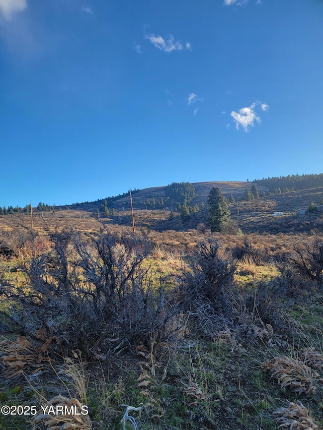 NKA Cowiche Mill Rd, Yakima, WA 98908 - photo 4