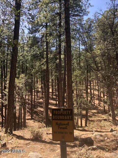 Parcel 1 N Pine Hollow Trail unit 2, Pine, AZ 85544 - photo 5