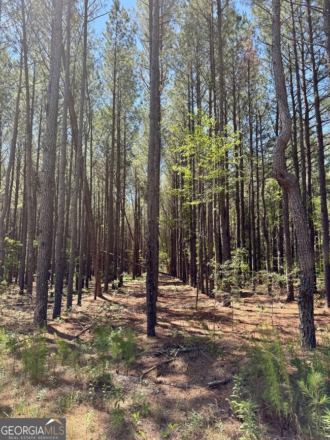 0 Sheppard Rd unit 10545353, Tennille, GA 31089 - photo 5