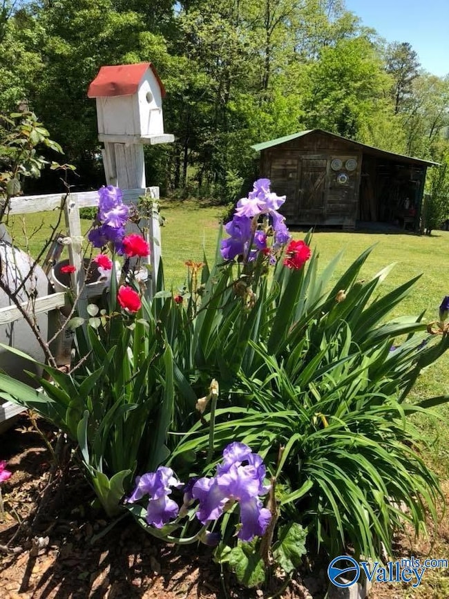 734 Grandview Dr, Altoona, AL 35952 - photo 5