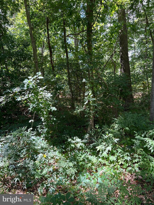 0 Boston Ave unit NJGL2022156, Williamstown, NJ 08094 - photo 2