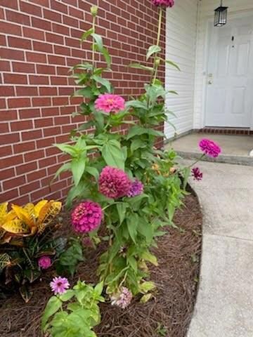 f005716f840c5328b66ed96c6ac45d79f05d3683