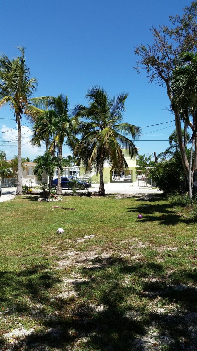 full view of lot from southeast corner.