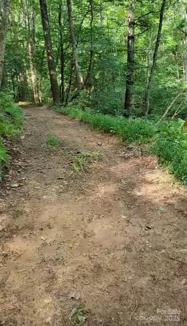 295 Bennett Branch Rd, Green Mountain, NC 28740 - photo 4