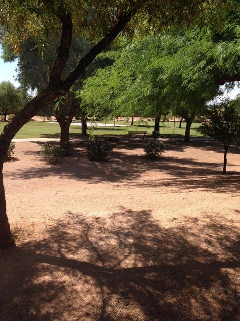 Community park 2